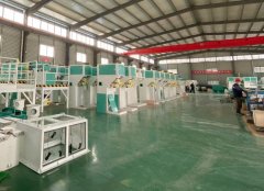 正夏从动化自成立以来